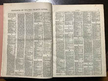 AMERICAN AGRICULTURIST FOR FARM, GARDEN, HOUSEHOLD - 24 Original Issues 1878-79