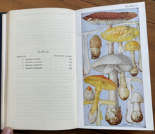 FIELD BOOK OF COMMON MUSHROOMS - Thomas, 1948 - ILLUSTRATED MYCOLOGY HERBALS