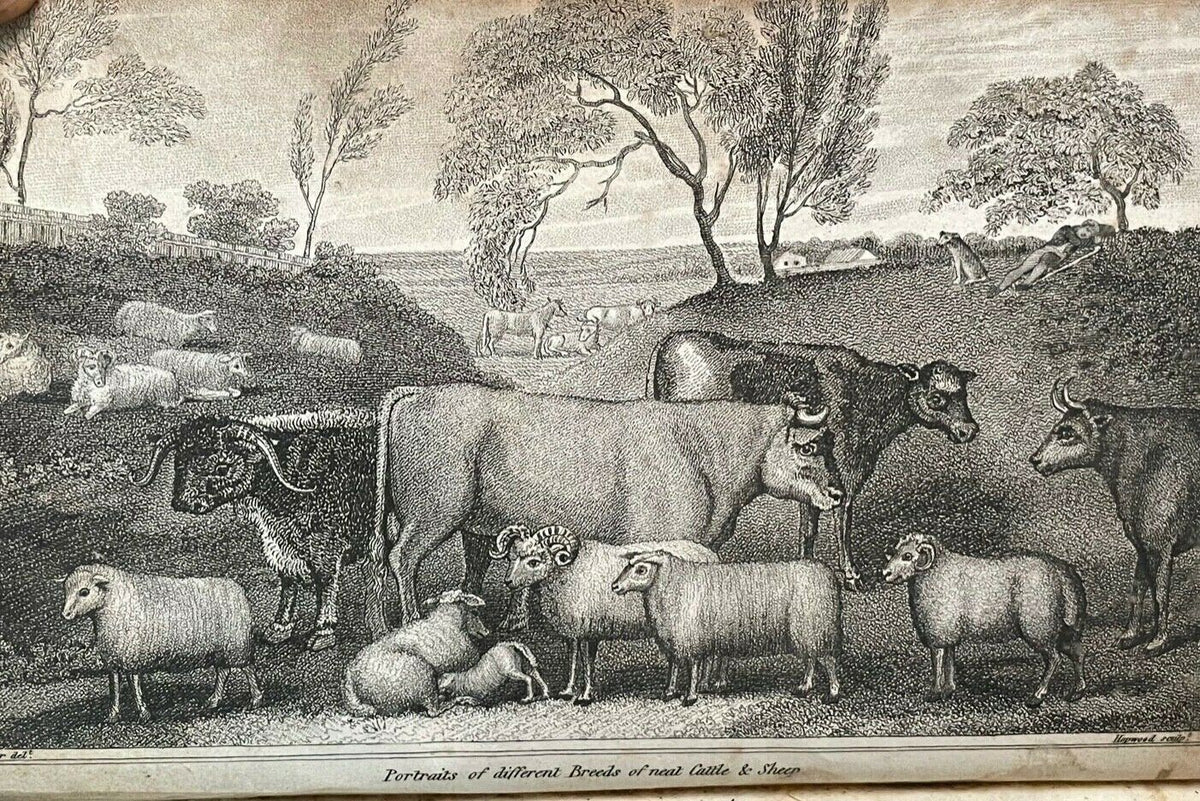 Every Man His Own Cattle Doctor 1st 1817 Veterinary Medicine Livesto