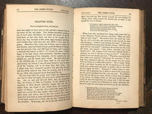 1846 - THE AMBER WITCH - Meinhold - WITCH TRIALS WITCHCRAFT LITERARY HOAX OCCULT