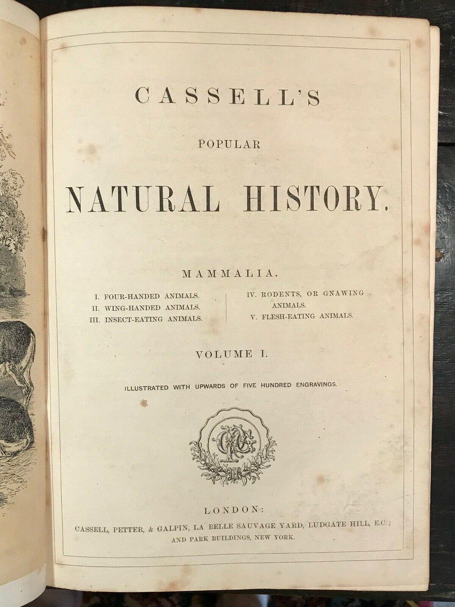 挿絵 洋書6『CASSELL'S NATURAL HISTORY VOL.3/4』銅版画・18枚