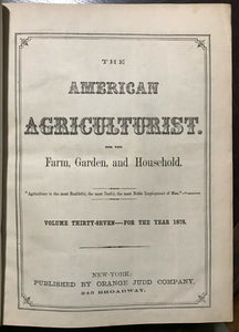 AMERICAN AGRICULTURIST FOR FARM, GARDEN, HOUSEHOLD - 24 Original Issues 1878-79