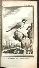 HISTOIRE NATURELLE DES OISEAUX - BUFFON, 1st 1779 BIRDS NATURAL HISTORY PLATES