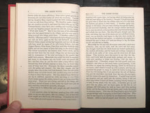 1844 - THE AMBER WITCH - WILHELM MEINHOLD, 1st - WITCH TRIALS WITCHCRAFT HOAXES