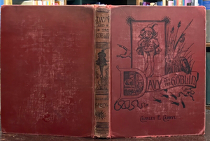 DAVY AND THE GOBLIN - Carryl, 1913 - FAIRYTALES FANTASY ILLUSTRATED CHILDREN'S