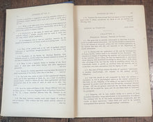 47847248