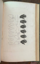 LA PHYSIOGNOMONIE - Lavater, 1830 - PHRENOLOGY, PHYSIOGNOMY, ILLUSTRATED PLATES