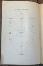 47844992