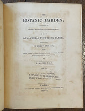 THE BOTANIC GARDEN - Maund, 1st 1826 (Vol II) - COLORED FLORAL BOTANICAL PLATES