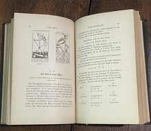 47766042