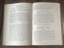 47817268