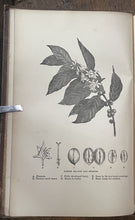 47468157