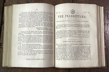 47501242