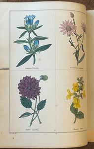 THE BOTANIC GARDEN - Maund, 1st 1826 (Vol II) - COLORED FLORAL BOTANICAL PLATES