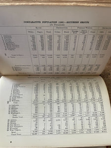45313174