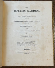 THE BOTANIC GARDEN - Maund, 1st 1835 (Vol VI) - COLORED FLORAL BOTANICAL PLATES