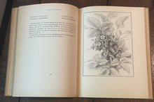 AN ARTIST'S HERBAL - Mansfield, 1st 1937 - BOTANICALS, FLORA, PLANTS, HERBAL