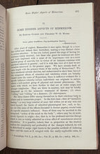 47541906