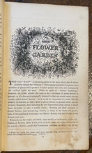 THE FLOWER GARDEN, 1839 - VICTORIAN BOTANICAL, FLORAL, HERBAL, DESIGN, GARDENING