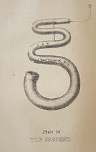 47352989