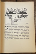 45386700