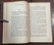 47508334