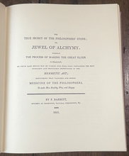 47847306