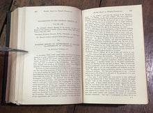 47541906