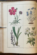 THE BOTANIC GARDEN - Maund, 1st 1835 (Vol VI) - COLORED FLORAL BOTANICAL PLATES