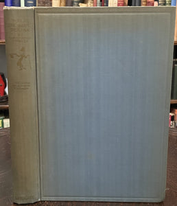 45386700