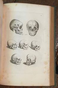 LA PHYSIOGNOMONIE - Lavater, 1830 - PHRENOLOGY, PHYSIOGNOMY, ILLUSTRATED PLATES