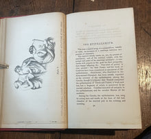 47352989