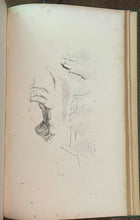 LA PHYSIOGNOMONIE - Lavater, 1830 - PHRENOLOGY, PHYSIOGNOMY, ILLUSTRATED PLATES