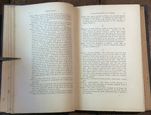 47318434