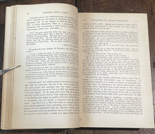 47847248