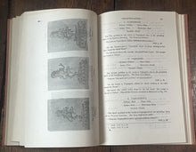 47817268