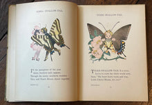 THE BUTTERFLY BABIES' BOOK - Gordon / Ross, 1st 1914 - BUTTERFLIES FAIRIES