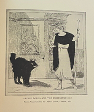 TIGER IN THE HOUSE - 1st, 1921 - CAT KITTY FELINE FOLKLORE, MYTHOLOGY, OCCULT