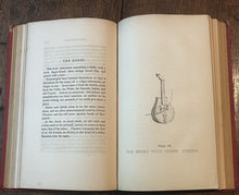 47352989