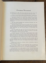 45772517