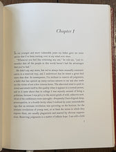 45386619
