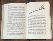 47825114