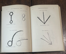 47847248