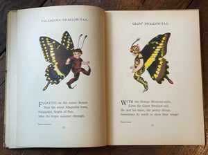 THE BUTTERFLY BABIES' BOOK - Gordon / Ross, 1st 1914 - BUTTERFLIES FAIRIES