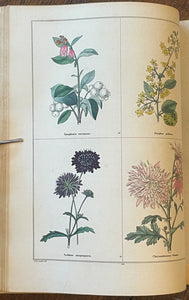 THE BOTANIC GARDEN - Maund, 1st 1826 (Vol II) - COLORED FLORAL BOTANICAL PLATES