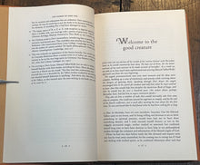 47845063