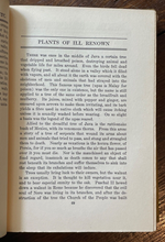 MYTHS & LEGENDS OF FLOWERS, TREES, FRUITS, PLANTS - Skinner, 1911 FLORA FOLKLORE