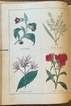 THE BOTANIC GARDEN - Maund, 1st 1826 (Vol II) - COLORED FLORAL BOTANICAL PLATES