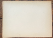 45435204