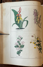 THE BOTANIC GARDEN - Maund, 1st 1826 (Vol I) - COLORED FLORAL BOTANICAL PLATES